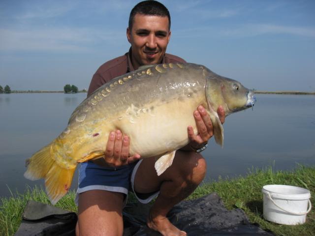 Pasiune - img1625.JPG